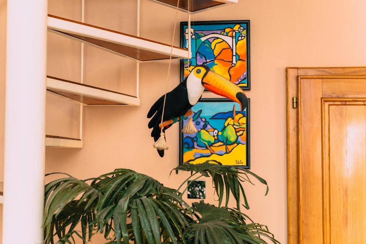 Casa Pasinovic *